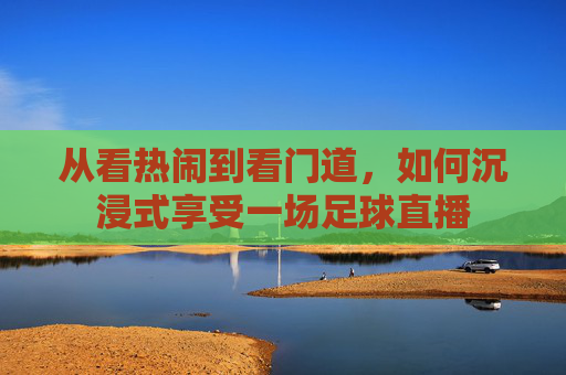 从看热闹到看门道,如何沉浸式享受一场足球直播