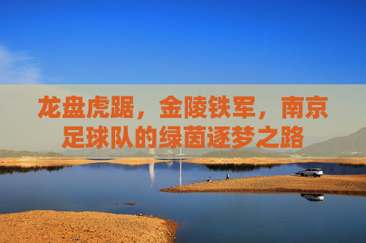 龙盘虎踞,金陵铁军,南京足球队的绿茵逐梦之路
