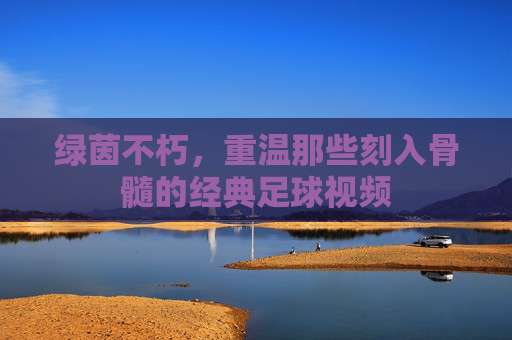 绿茵不朽,重温那些刻入骨髓的经典足球视频