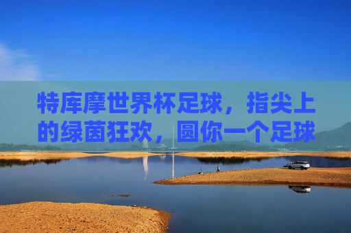 特库摩世界杯足球,指尖上的绿茵狂欢,圆你一个足球梦