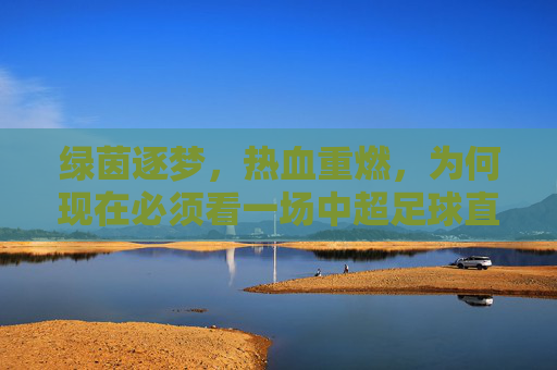 绿茵逐梦,热血重燃,为何现在必须看一场中超足球直播