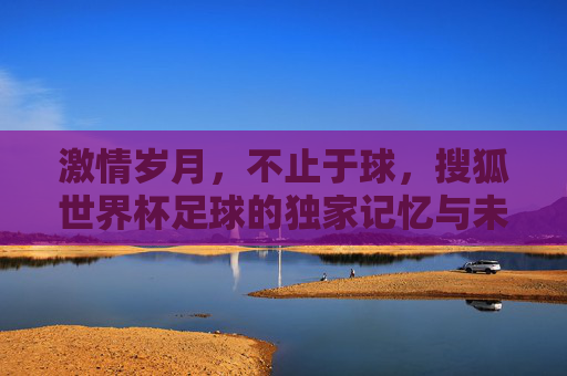 激情岁月,不止于球,搜狐世界杯足球的独家记忆与未来展望
