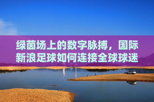 绿茵场上的数字脉搏,国际新浪足球如何连接全球球迷
