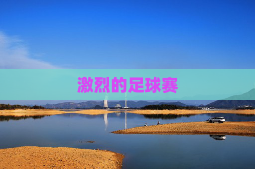 激烈的足球赛