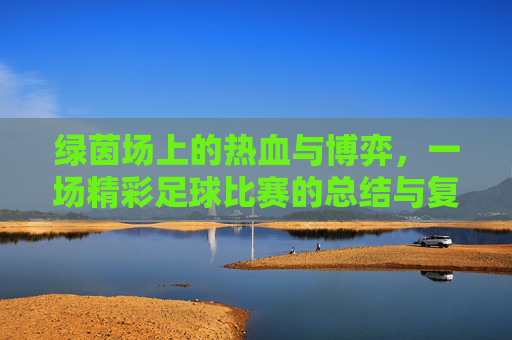 绿茵场上的热血与博弈,一场精彩足球比赛的总结与复盘