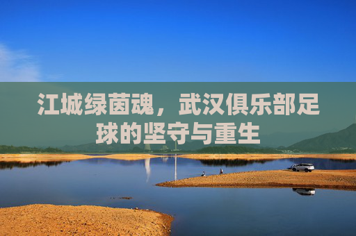 江城绿茵魂,武汉俱乐部足球的坚守与重生