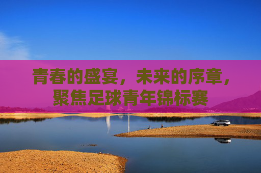 青春的盛宴,未来的序章,聚焦足球青年锦标赛