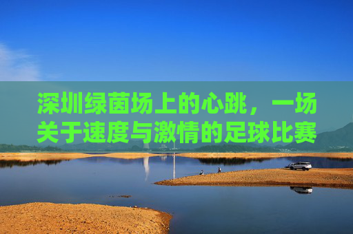 深圳绿茵场上的心跳,一场关于速度与激情的足球比赛