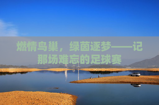 燃情鸟巢，绿茵逐梦——记那场难忘的足球赛
