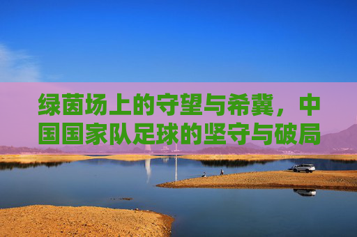 绿茵场上的守望与希冀,中国国家队足球的坚守与破局