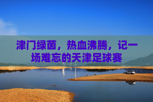 津门绿茵，热血沸腾，记一场难忘的天津足球赛