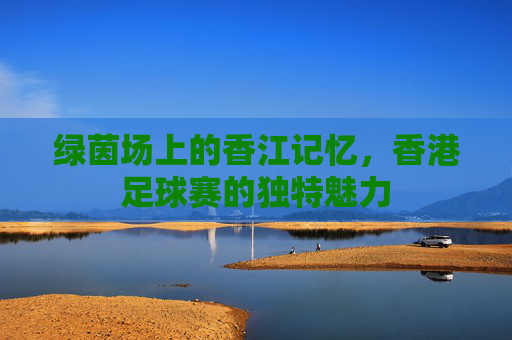 绿茵场上的香江记忆,香港足球赛的独特魅力