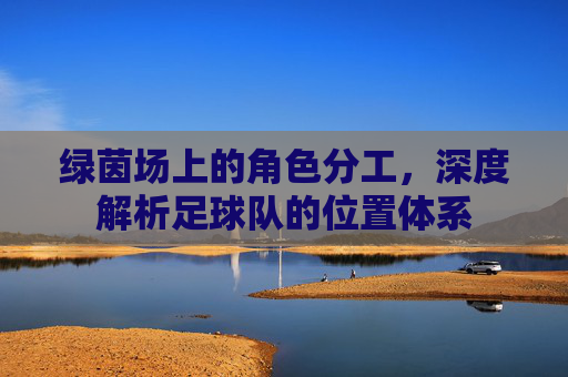 绿茵场上的角色分工，深度解析足球队的位置体系