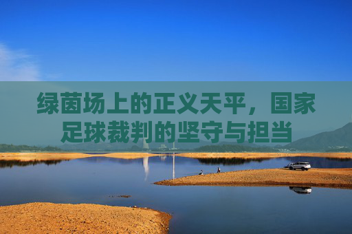 绿茵场上的正义天平，国家足球裁判的坚守与担当