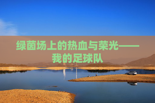 绿茵场上的热血与荣光——我的足球队