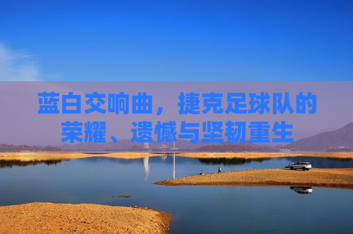 蓝白交响曲，捷克足球队的荣耀、遗憾与坚韧重生