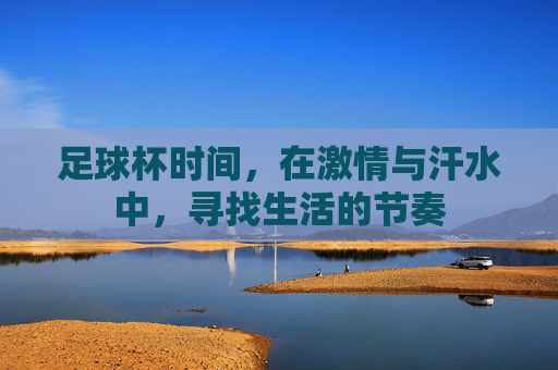足球杯时间,在激情与汗水中,寻找生活的节奏