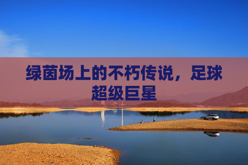 绿茵场上的不朽传说,足球超级巨星