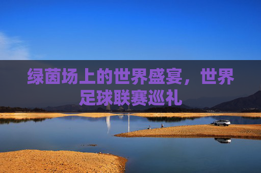 绿茵场上的世界盛宴,世界足球联赛巡礼