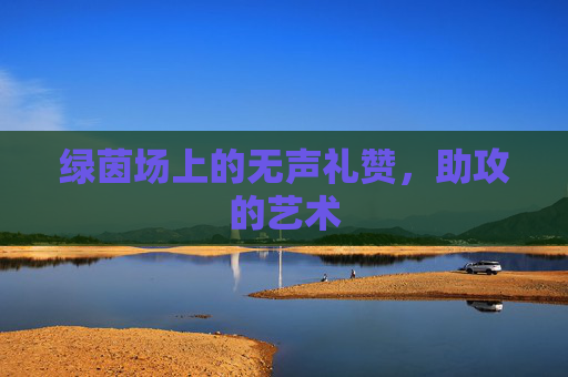 绿茵场上的无声礼赞,助攻的艺术