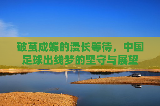 破茧成蝶的漫长等待,中国足球出线梦的坚守与展望