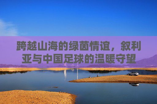 跨越山海的绿茵情谊,叙利亚与中国足球的温暖守望
