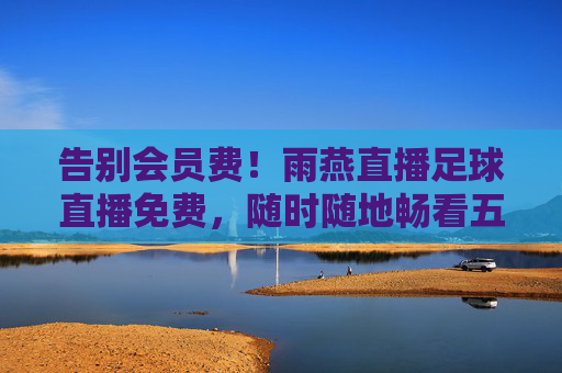 告别会员费!雨燕直播足球直播免费,随时随地畅看五大联赛