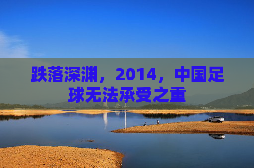 跌落深渊,2014,中国足球无法承受之重