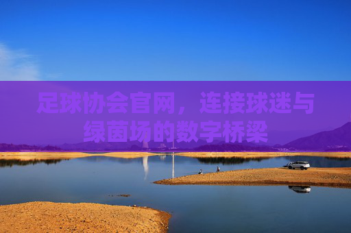 足球协会官网,连接球迷与绿茵场的数字桥梁