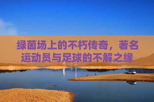 绿茵场上的不朽传奇,著名运动员与足球的不解之缘