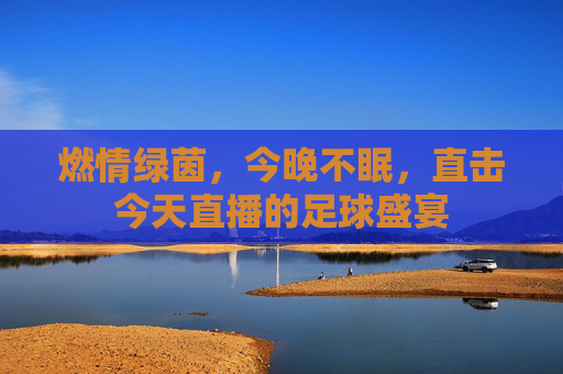 燃情绿茵,今晚不眠,直击今天直播的足球盛宴