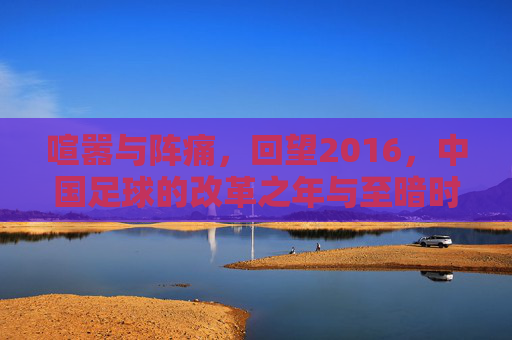 喧嚣与阵痛,回望2016,中国足球的改革之年与至暗时刻