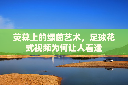 荧幕上的绿茵艺术,足球花式视频为何让人着迷