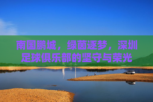 南国鹏城,绿茵逐梦,深圳足球俱乐部的坚守与荣光