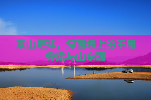 泰山足球,绿茵场上的不屈脊梁与山东魂