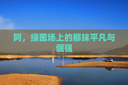 阿,绿茵场上的那抹平凡与倔强