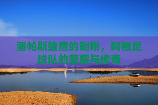 潘帕斯雄鹰的翱翔，阿根足球队的荣耀与传奇