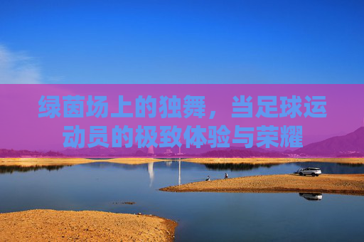 绿茵场上的独舞,当足球运动员的极致体验与荣耀