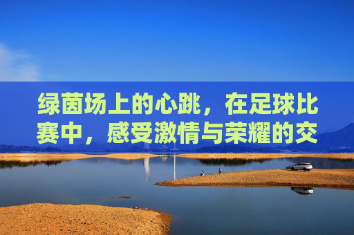 绿茵场上的心跳,在足球比赛中,感受激情与荣耀的交响