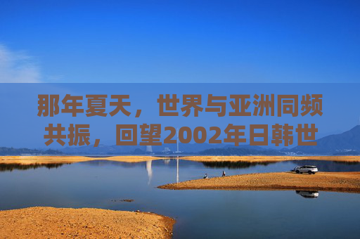 那年夏天,世界与亚洲同频共振,回望2002年日韩世界杯足球