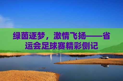 绿茵逐梦,激情飞扬——省运会足球赛精彩侧记