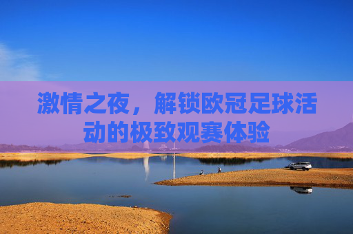激情之夜,解锁欧冠足球活动的极致观赛体验