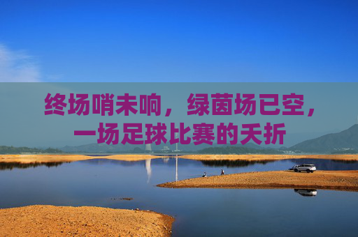 终场哨未响,绿茵场已空,一场足球比赛的夭折