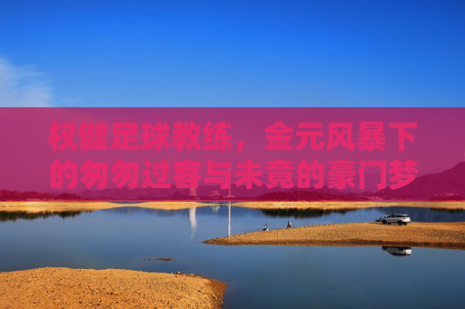 权健足球教练,金元风暴下的匆匆过客与未竟的豪门梦