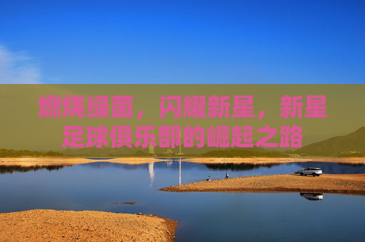 燃烧绿茵,闪耀新星,新星足球俱乐部的崛起之路