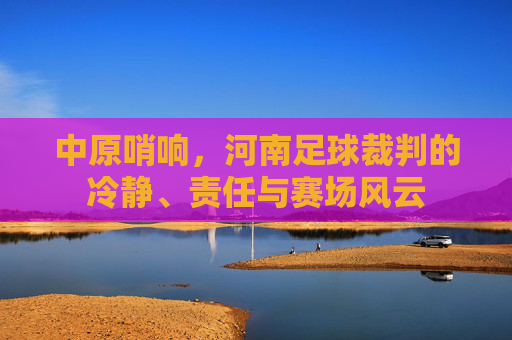 中原哨响,河南足球裁判的冷静、责任与赛场风云