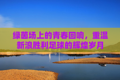 绿茵场上的青春回响,重温新浪胜利足球的辉煌岁月