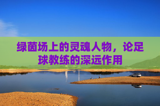 绿茵场上的灵魂人物,论足球教练的深远作用