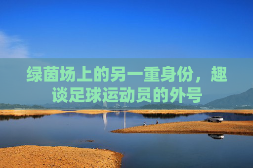 绿茵场上的另一重身份,趣谈足球运动员的外号