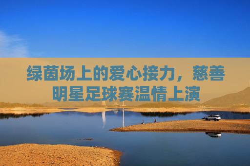 绿茵场上的爱心接力，慈善明星足球赛温情上演
